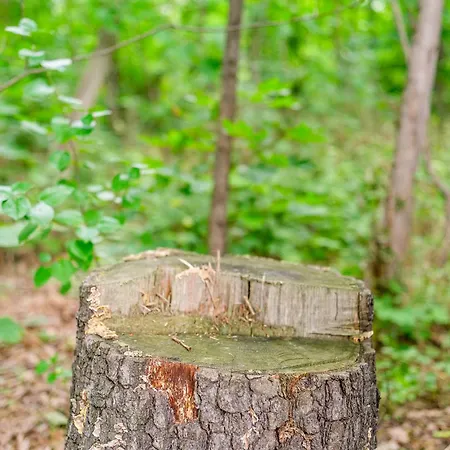 Am Fernsehturm Appartement