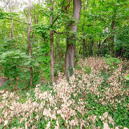 Apartmán Am Fernsehturm *