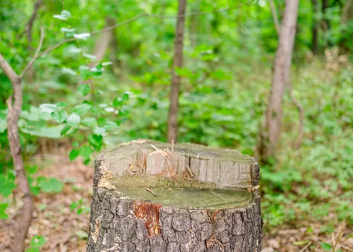Am Fernsehturm Apartman