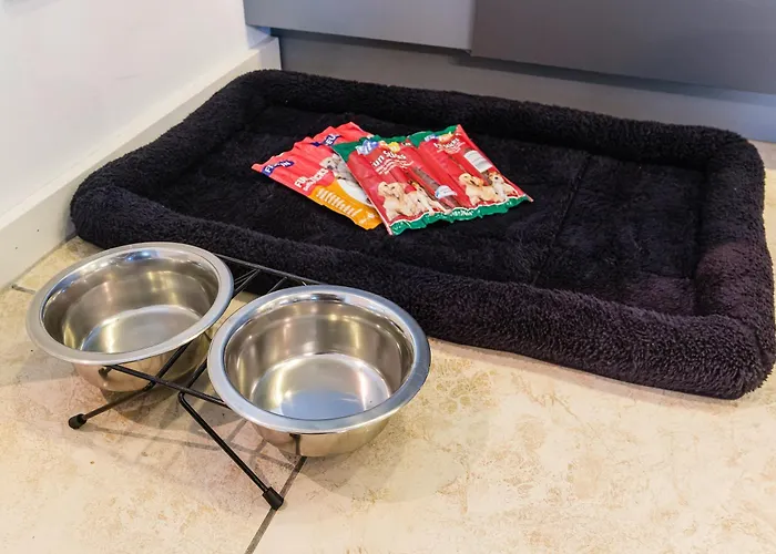 Apartman Am Fernsehturm Drezda