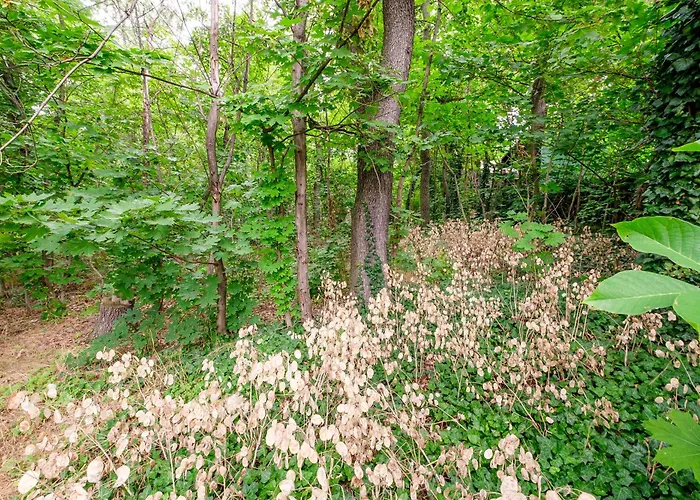 Apartman Am Fernsehturm *